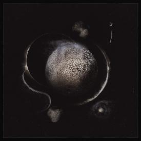 Cold Black Suns (Digipack CD)