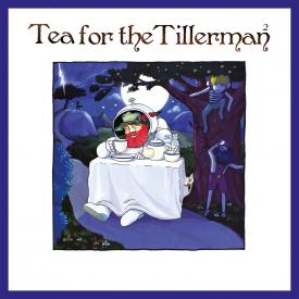 Tea For The Tillerman 2 (180 Gram LP Vinyl)