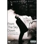 From the Sky Down (DVD)