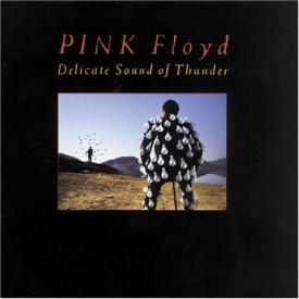 Delicate Sound of Thunder (2-CD Deluxe Edition)