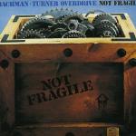Not Fragile (LP Usado)
