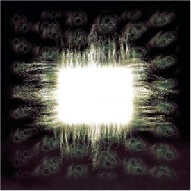 Aenima