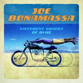 Different Shades of Blue (CD USADO)