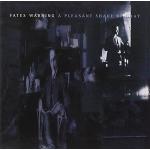 A Pleasant Shade Of Gray (Expanded Edition 3CD+DVD)