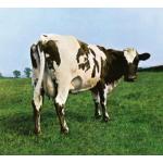 Atom Heart Mother