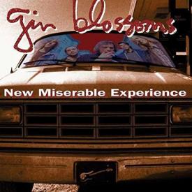 New Miserable Experience (Vinyl)