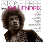 Stone Free: Jimi Hendrix Tribute (Vinyl)