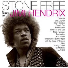 Stone Free: Jimi Hendrix Tribute (Vinyl)