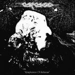 Symphonies Of Sickness (Vinyl)