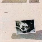Tusk (2 x Vinyl, Limited Trans Blue Vinyl)
