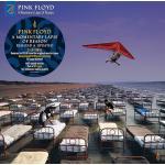 A Momentary Lapse Of Reason Remixed & Updated (Double Vinyl)