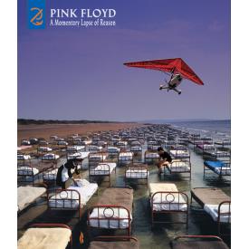 A Momentary Lapse Of Reason [Deluxe CD/Blu-ray]