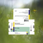 Everything Was Beautiful (Vinyl)
