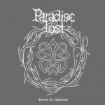 Drown In Darkness (2-LP) (Reissue)
