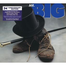 Mr.Big - Mqa-CD