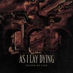 Shaped by Fire (Black Vinyl)