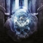 Citadel (Limited Edition, Clear Vinyl, Blue, White)