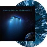 V (2 x Vinyl, 12