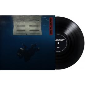 Hit Me Hard And Soft (Recycled, Vinyl)