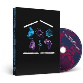 An Hour Before It's Dark: Live In Port Zelande 2023 (Blu-ray)