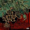 Ashes Of The Wake (2-LP, Deluxe Edition, Bonus Tracks, Anniversary Edition, Expanded Version)