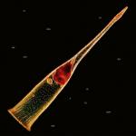 Melodies Of Atonement (CD)