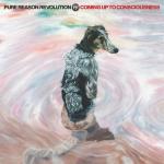 Pure Reason Revolution (Jewel Case)