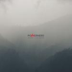 Powernerd (Indie Exclusive, Colored Vinyl, Gray, Limited Edition, Booklet)