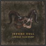 Curious Ruminant (Digipack Packaging)