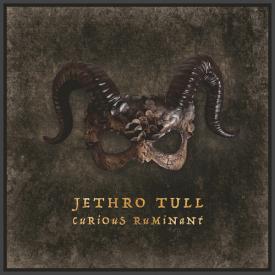 Curious Ruminant (Digipack Packaging)