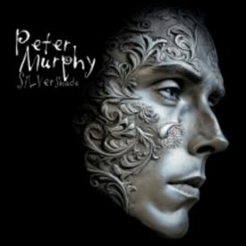 Silver Shade (CD)