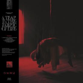 A Tear In The Fabric Of Life (Clear Vinyl, Red, Black, Splatter)