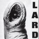 Power Of Lard (Colored Vinyl, White)