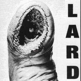 Power Of Lard (Colored Vinyl, White)