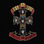 Appetite For Destruction (Jewel Case)