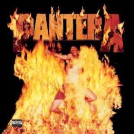 Reinventing The Steel (Reissue,180 Gram Vinyl)