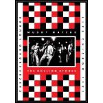 Live At The Checkerboard Lounge (DVD/CD)