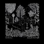 Garden Of The Arcane Delight + Peel Sessions (2-LP Vinyl)