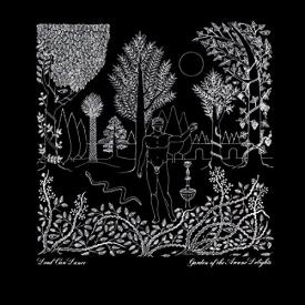 Garden Of The Arcane Delight + Peel Sessions (2-LP Vinyl)