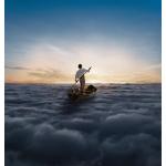 The Endless River (Double Vinyl)