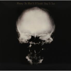 The Mind Is A Terrible Thing To Taste (LP Vinyl)