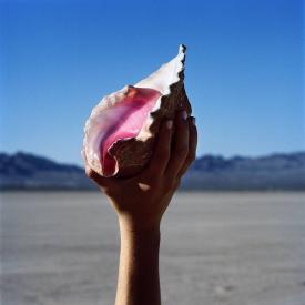 Wonderful Wonderful (LP Vinyl)