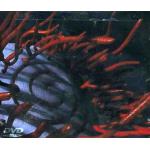 Schism (DVD)