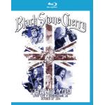 Thank You: Livin Live Birmingham UK October 30 [Blu-ray]