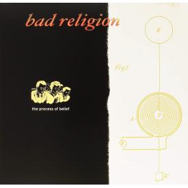 The Process of Belief (LP Vinyl)