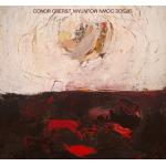 Upside Down Mountain (LP)