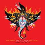 Mehliana: Taming the Dragon (LP)