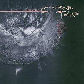 Treasure (Vinyl)