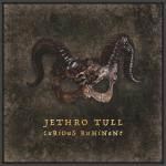 Curious Ruminant (Deluxe Edition) (Booklet, Gatefold Vinyl)