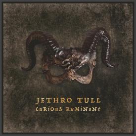 Curious Ruminant (Deluxe Edition) (Booklet, Gatefold Vinyl)